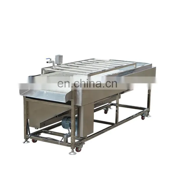 Commercial Sweet Potato Baby Carrot Tomato Onion Vegetable Orange Peach Apricot Blueberry Small Fruit Brush Washing Machine photo-7