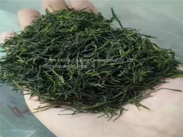 Hubei Enshi Se-rich Tea Produced and Sold by Oneself Fried Green Tea Commercial Gift Wholesale Enshi Yulu photo-3