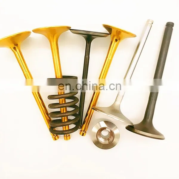Head Gasket Bronze Guides Intake Exhaust Engine Valve for SEADOO SEA DOO SPARK 900 H.O. ACE 1503 1503cc 4tec GTX GTS RXP 260 photo-5