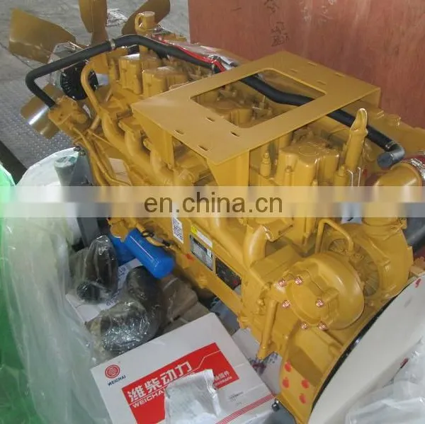 Hot Sale Brand New Weichai WD10G240E201 Diesel Engine for Construction photo-3