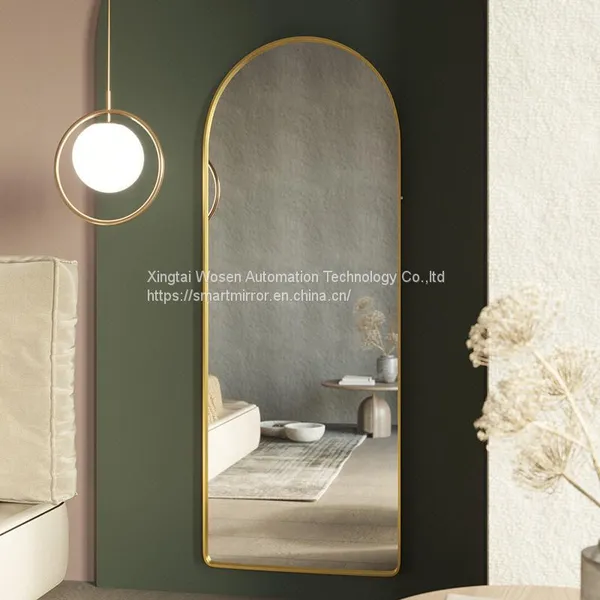 Arched Aluminum Frame Full Body Mirror Household Floor Mirror Light Luxury Thin Clothing Store Fitting Mirror photo-4