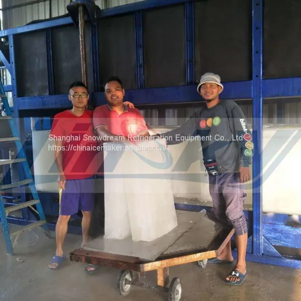 5ton/24hr High Production Block Ice Machine photo-5