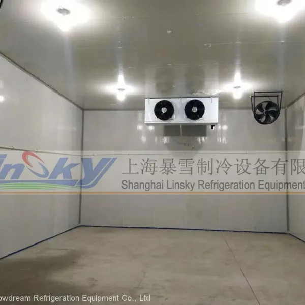 Ceiling Type Air Cooler photo-4