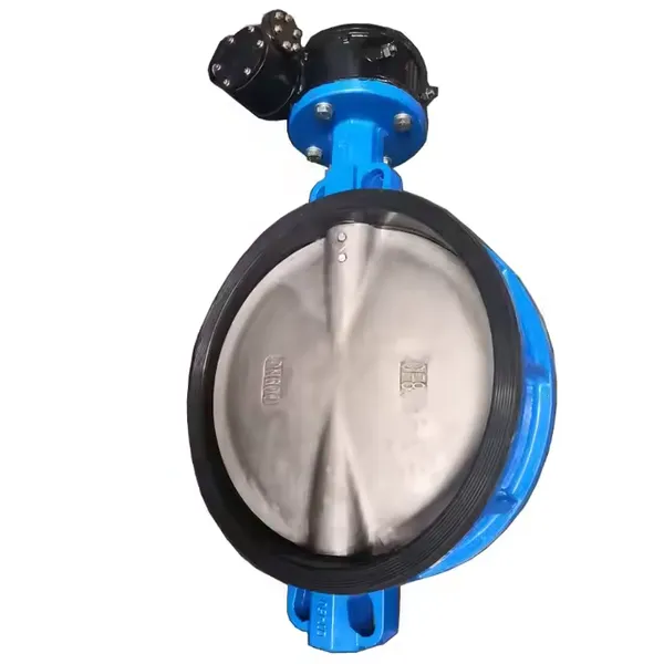 BS DN800 PN25 PN16 Cast Steel Ductile Iron Butterfly Valve Electric Turbine SS304 Disc Lug PTFE Seal photo-4