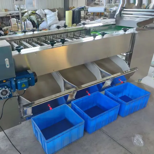 3 Levels Potatoes Sorting Grading Classifying Machine Sorter Grader Machine Line