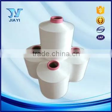 Professional Factory Companies Made 100% Nylon 6 Yarn photo-6