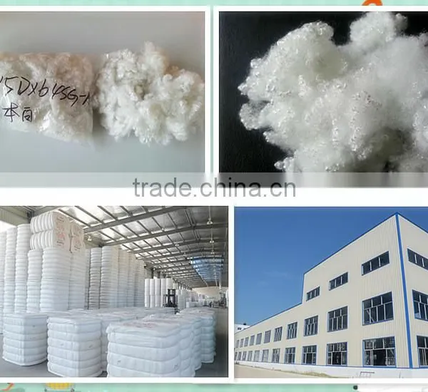 Recycled Polyester Staple Fiber photo-6