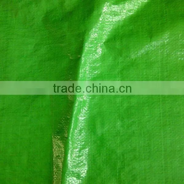 PE Tarpaulin Sheet for Truck Canopy Ship Cover photo-2