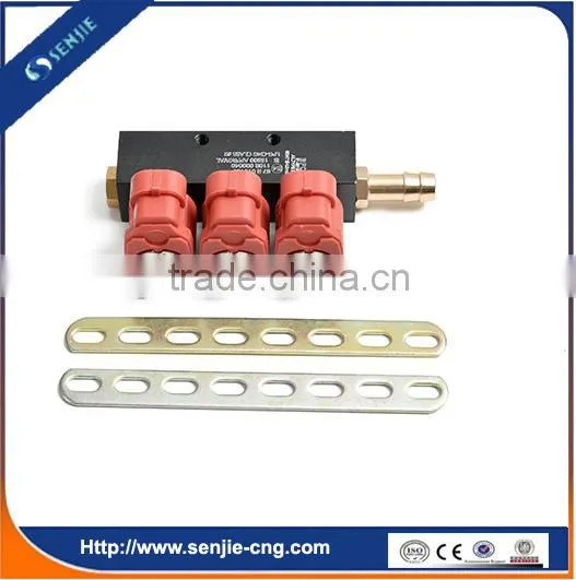 Cng Kit Cng Lpg Injector Rail in Car Fuel System photo-5
