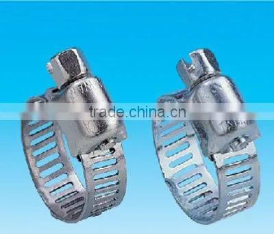 Hose Clamp (auto Parts)
