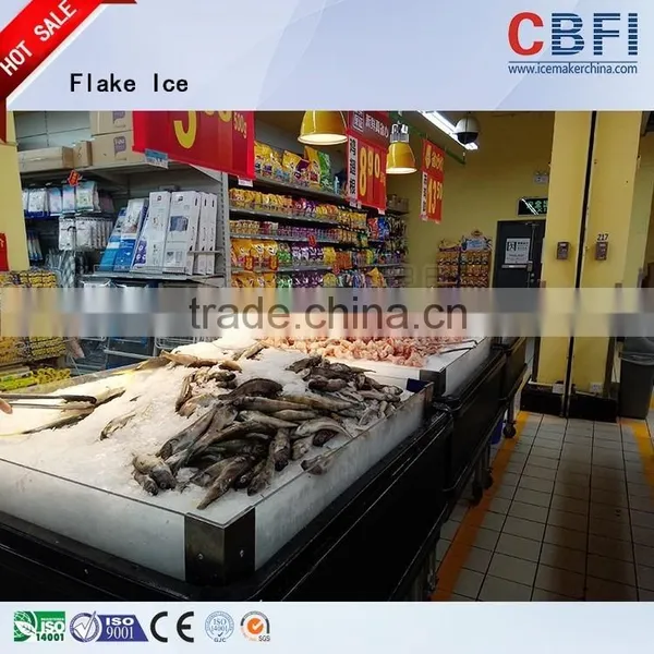 15 Tons Per Day Ice Flake Maker With High Refrigeration Efficiency photo-3