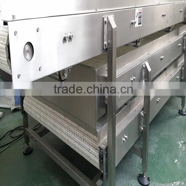 Plastic Modular Belts Conveyor System for Production System photo-2