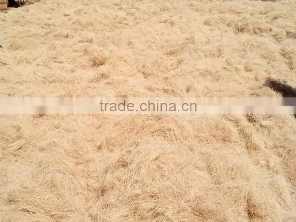 Coconut Fiber (QQ : 2598494113) photo-2