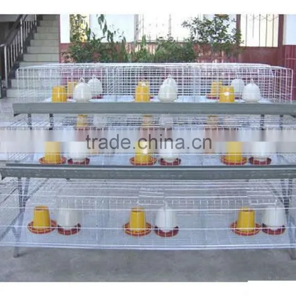 Automatic Chicken Layer Cage for Salling!!! photo-6