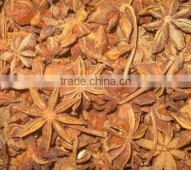 Aniseeds