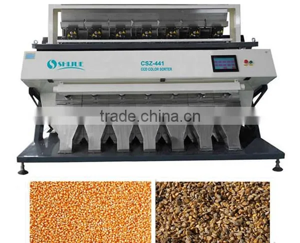 Corn Color Sorter photo-5