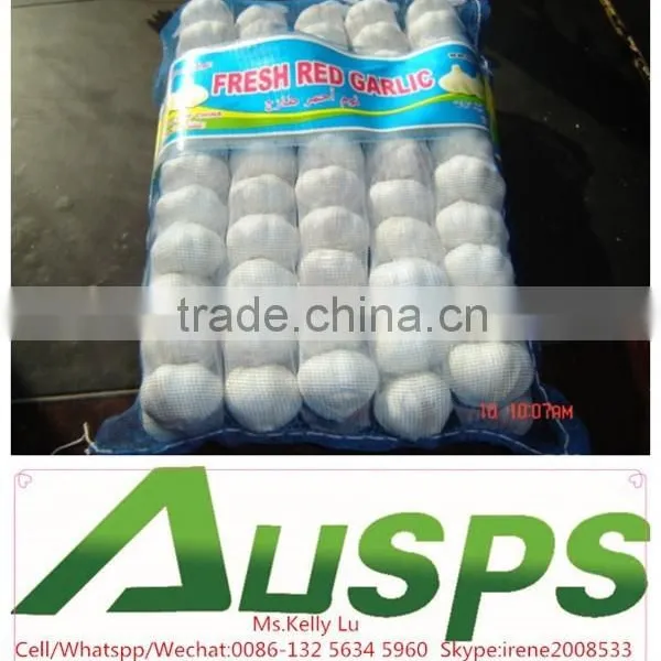 Garlic Price in China photo-2