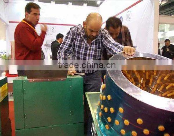 Power Ablility Used Chicken Pluckers for Sale Abattoir Equipment Duck Machine photo-5