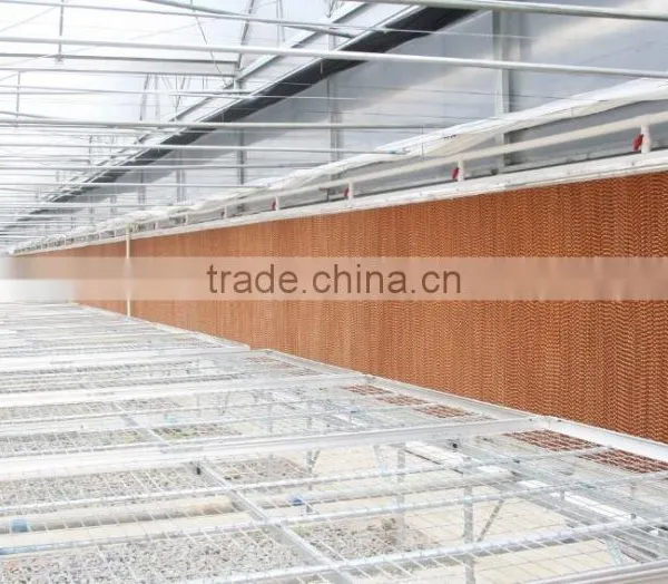 Greenhouse Cooling Pad 220V Foshan Tuhe Cooling Systems Thailand photo-2