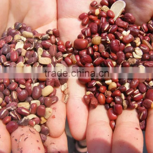 Soybean Mung Bean Cleaning Polishing Machine photo-4