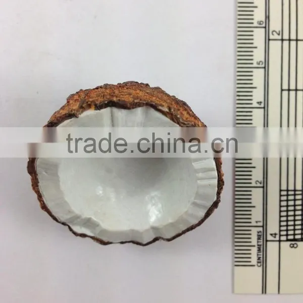 COCONUT FRUIT MAGNET RESIN 3D FRIDGE MAGNET SOUVENIR photo-2