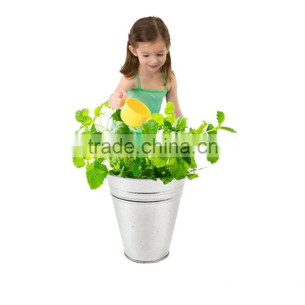 Toys Large Galvanized Buckets Great Buckets for Planters or Unique Goody Baskets photo-5