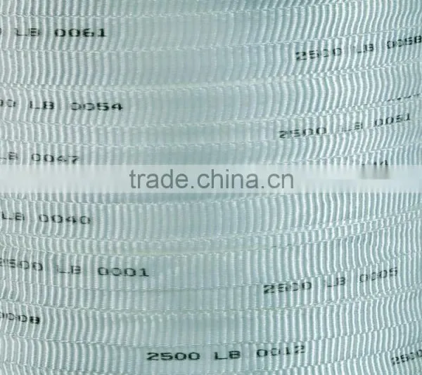 2017 Hot Sale Polyester Pull Tape photo-3