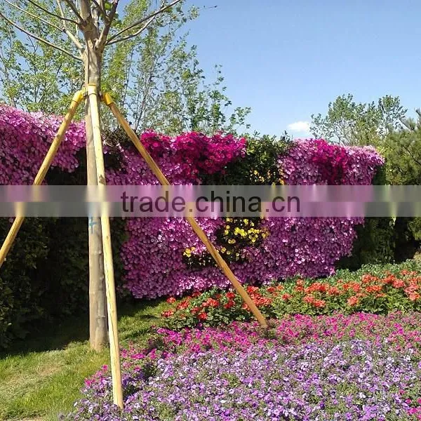 Decorative Home Decor Green Wall Cheapest (80X20cm)ornamental Plant Artificial Flower Wall photo-2