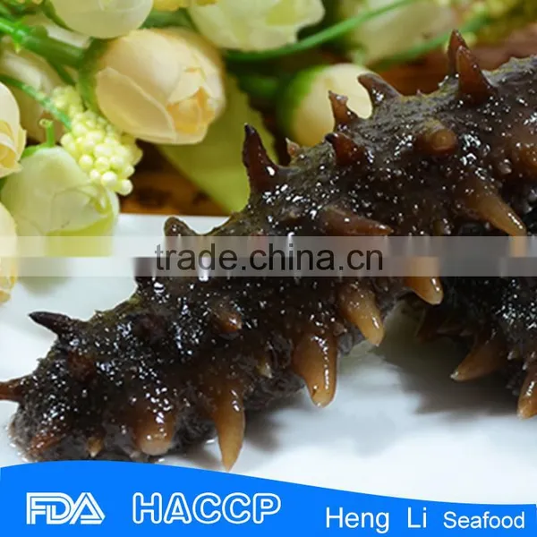 China Supplier Food Salted Sea Cucumber photo-3