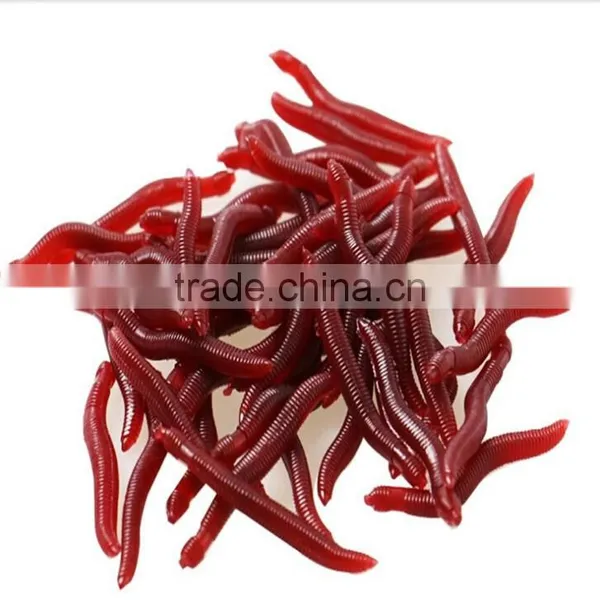 Hot- Sale Fishing Bait Earthworm Bait Wholesale photo-4
