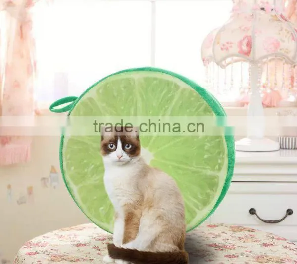 Fruit Shaped Cushion 3D Sandals Soft Comfortable Cute Different Images Printing and Sizes photo-6