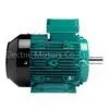 WEG Motor WEG Three Phase Motor photo-2