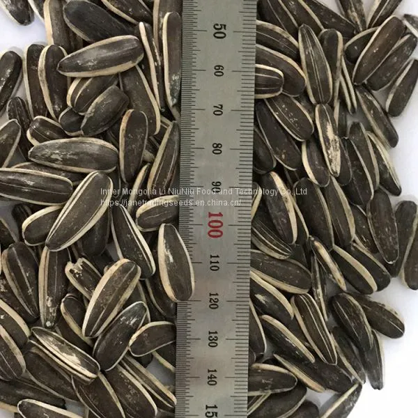 Chinese Sunflower Seeds With, CIQ, ISO