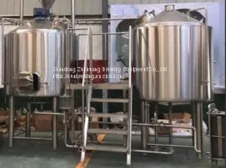 300l Beer Brewing Equipment Turnkey Beer Brewing System for Micro Brewery/ Pub