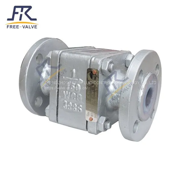 float ball Check Valve
