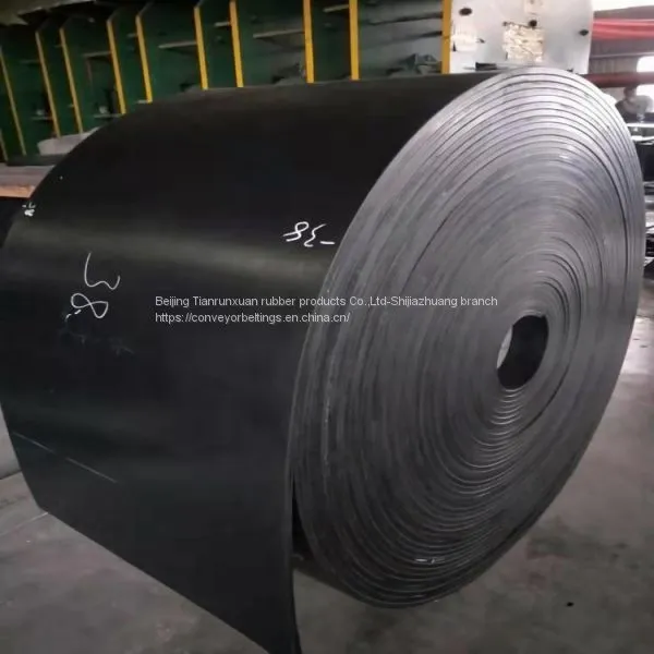 Fabric Oil Resistant Conveyor Belt photo-4