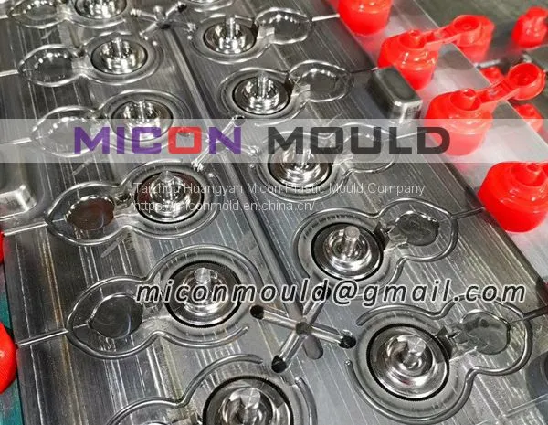 Flip Top Cap Mould photo-2
