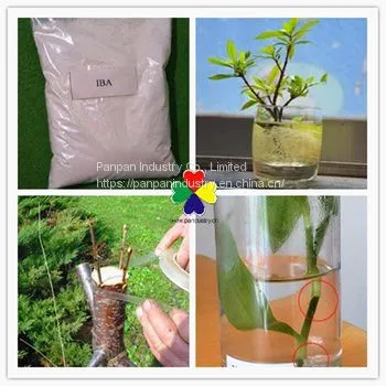 Plant Growth Regulator Indole-3-butyric Acid ( IBA ) 98%TC Powder photo-3
