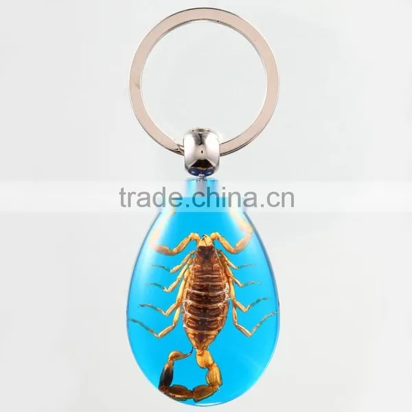 Real Insect Keychain With Scorpion photo-6