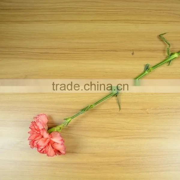 Popular Flame Orange Natural Cut Carnation Flowers photo-3