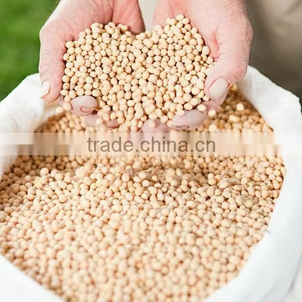 Natural Non-GMO Soybean Extract With Soy Isoflavones