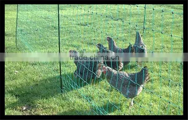 Portable Plastic Fencing Net for Chicken&sheep&deer/poultry Netting photo-4