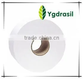 Jumbo Toilet Tissue Roll