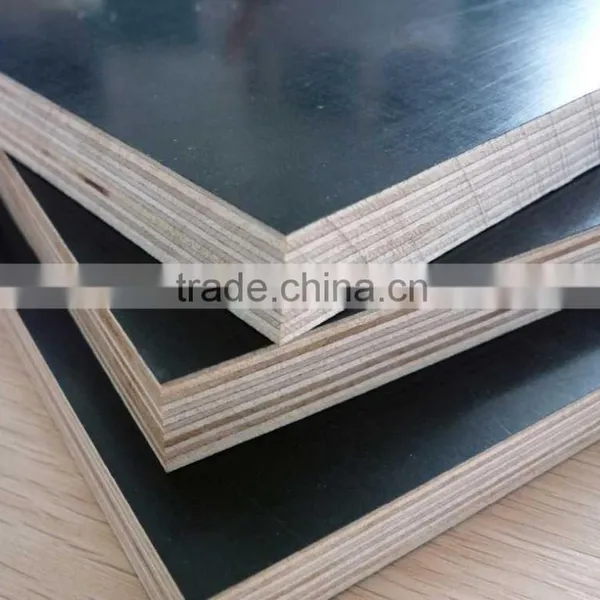 Timber Wood For Construction Building Material photo-5