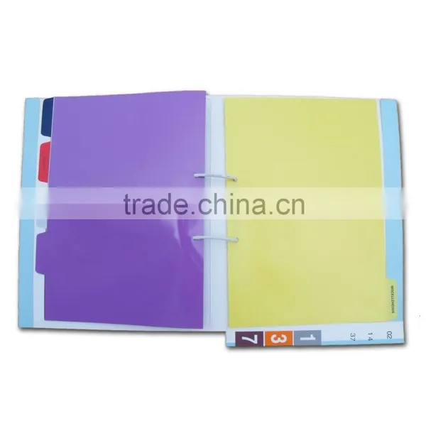 Mayiez PVC Medical File Folder With Dividers (BLY8-2005PPMF) photo-4