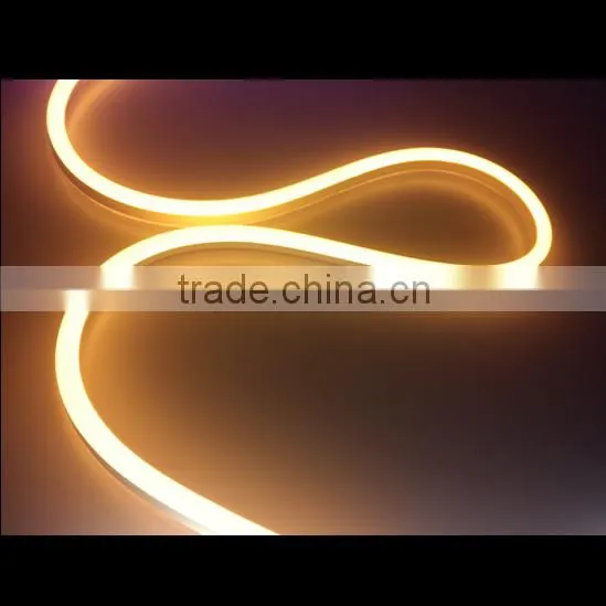 2700K Led Neon 240V 120V 24V 12V photo-2