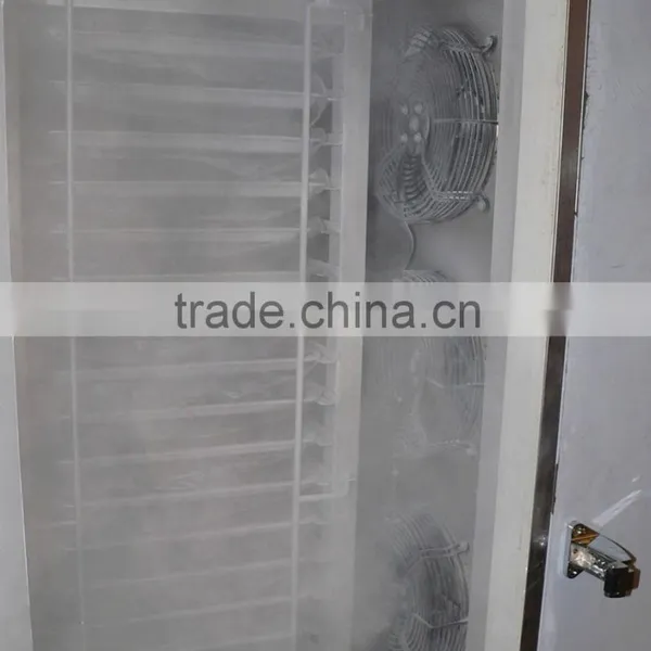 Sinlge Trolley-Blast Freezer for Food Processing photo-3
