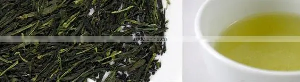 Organic Sencha Green Tea