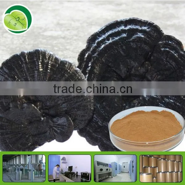 High Quality Ganoderma Lucidum Spore Powder
