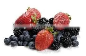 Fruit Fillings/Blackberry Pie Filling or Topping photo-6